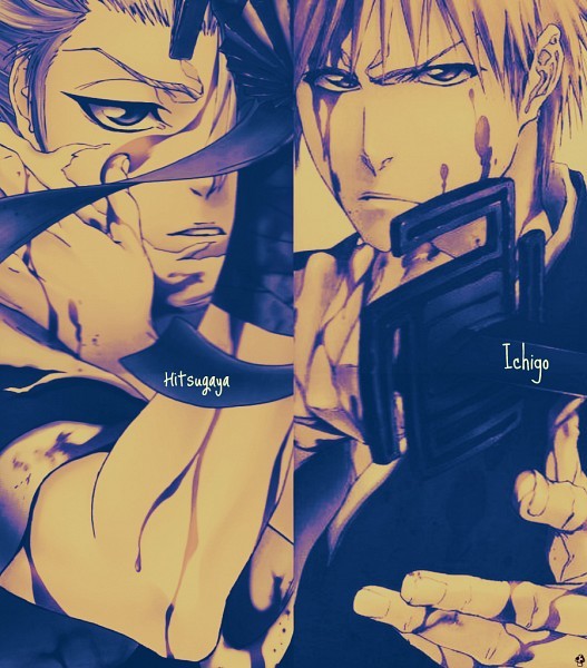 Hitsugaya et Ichigo
